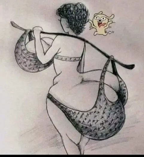 This image has an empty alt attribute; its file name is 364814286_7339939662699366_7928953645395349572_n-2.webp